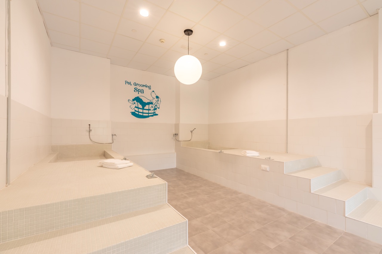 Pet Spa San Sebastian