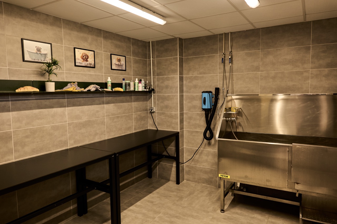 Pet spa Rivas