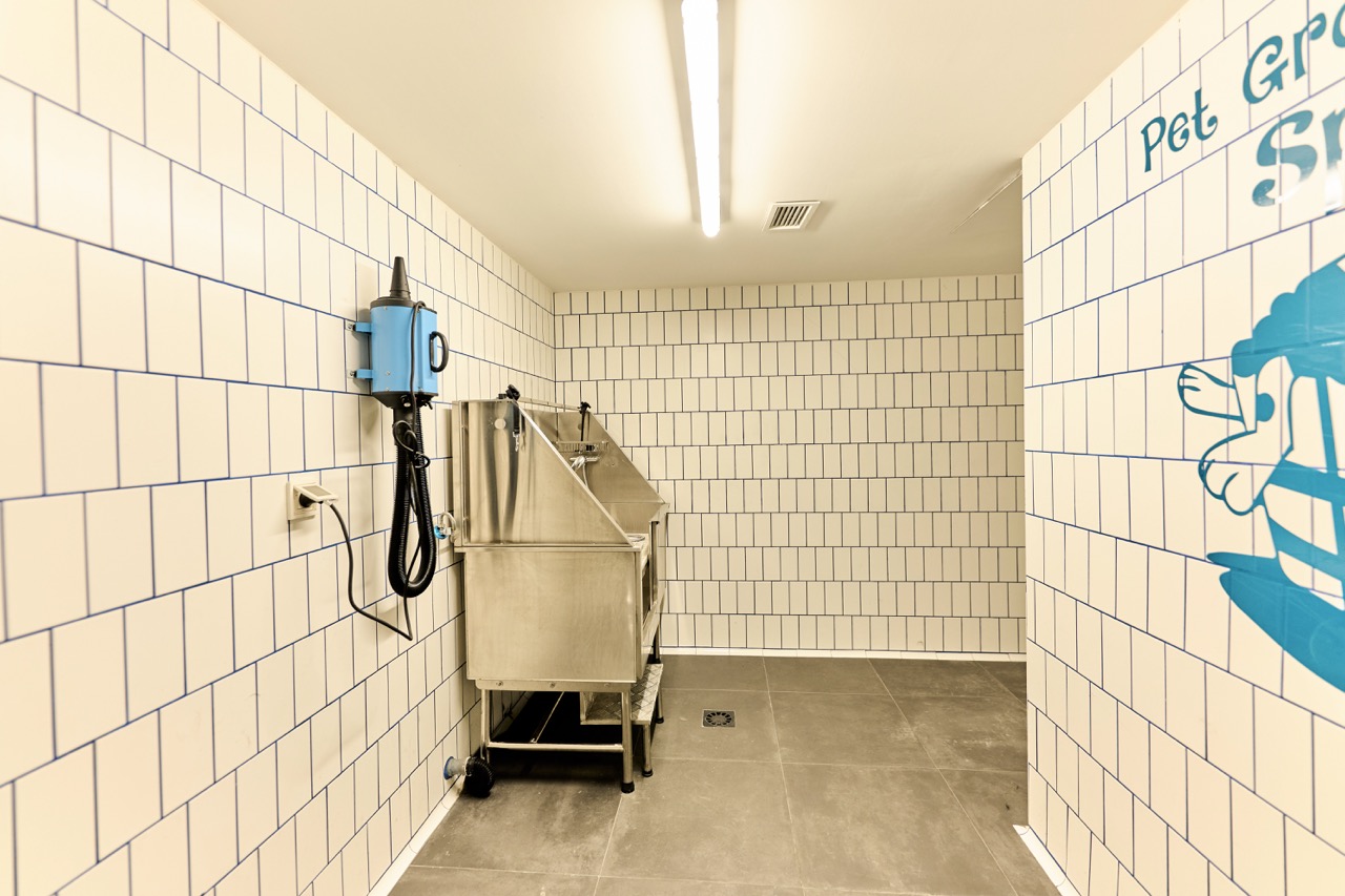 Pet spa y Pet park Valdebebas